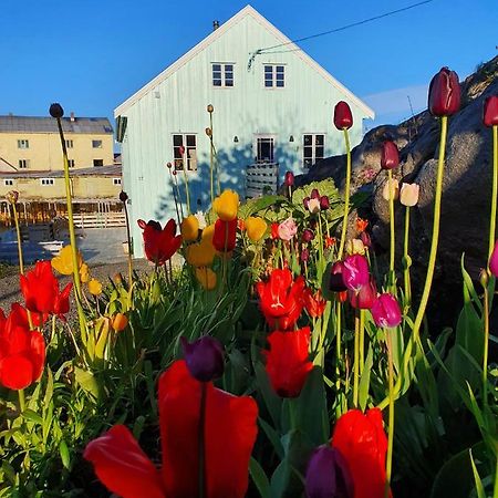 Bed and Breakfast Lysvoldbrygga Хеннингсвер Экстерьер фото