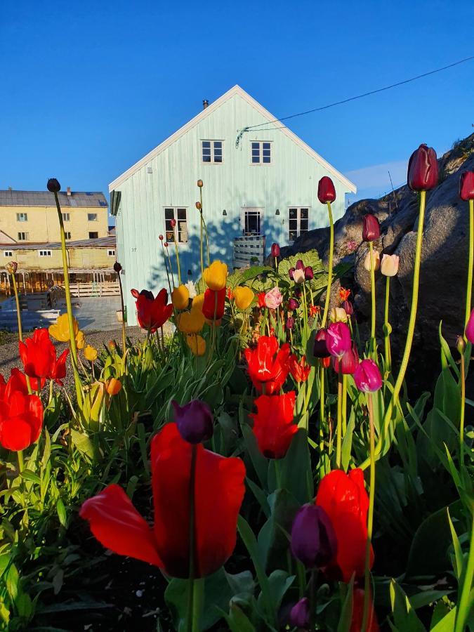 Bed and Breakfast Lysvoldbrygga Хеннингсвер Экстерьер фото