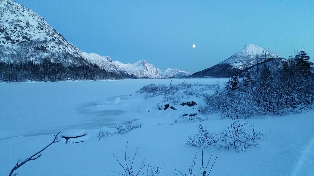 Bed and Breakfast Lysvoldbrygga Хеннингсвер Экстерьер фото
